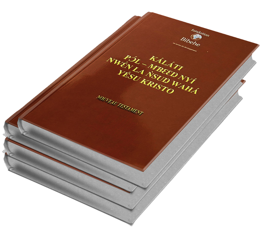 Nouveau Testament en langue maternelle
