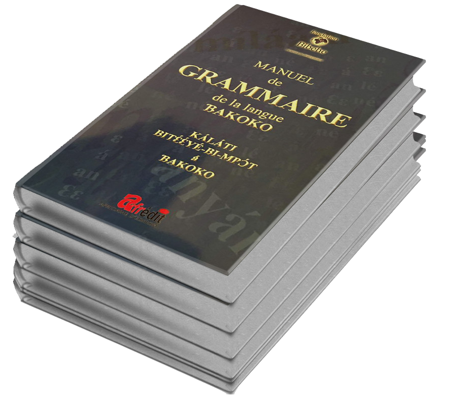 Manuel de grammaire de la langue bakoko